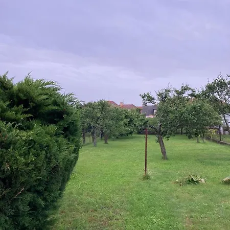 Apartmán se zahradou v Protivíně č.2 Exterior foto