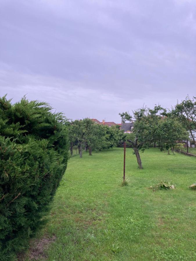 Se Zahradou V Protivine C.2